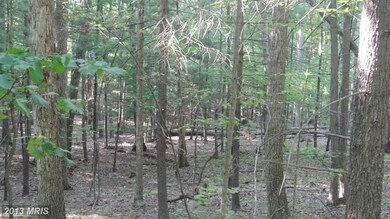 0 Calypso Trail unit 1003640048, Great Cacapon, WV 25422 - photo 5