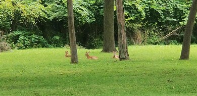 0 Adda Ave unit lot 36, 37, 38, 39., Brandywine, OH 43231 - photo 5