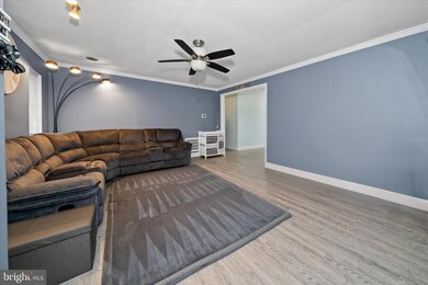 40 E Shady Dr, Newark, DE 19713 - photo 6