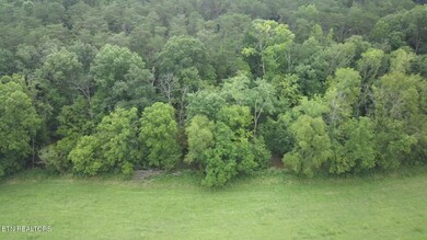 4 Rutledge Lot 4 Pike, Blaine, TN 37709 - photo 4