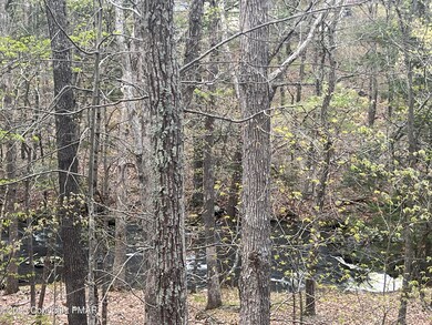 123 Meadow View Ct, Bushkill, PA 18324 - photo 7