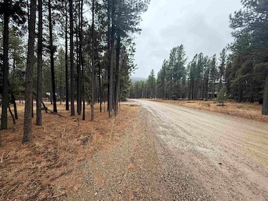 Lot 40 Valle Grande Trail, Angel Fire, NM 87710 - photo 4