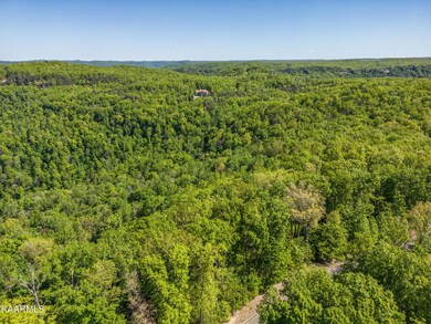 DJI_0038