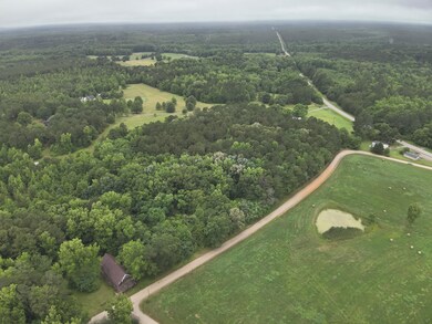 38 Bridges Rd, Carlton, GA 30627 - photo 4