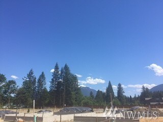 1256 Little Si Ave SE, North Bend, WA 98045 - photo 3