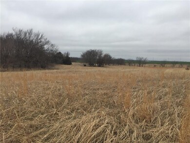 Standing in back section of property looking to th