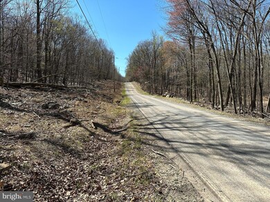 31 Eagle Mountain Rd, Paw Paw, WV 25434 - photo 3