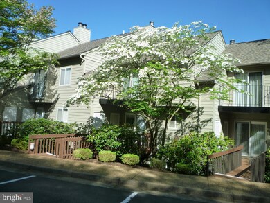 115 Ridge Ct unit 9, Basye, VA 22810 - photo 4