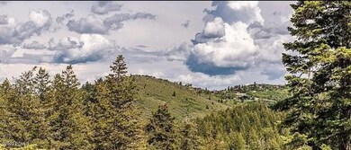 360#5