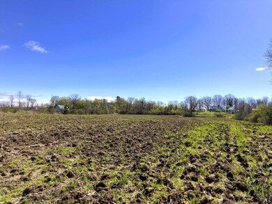 17.5 acres fertile farmland