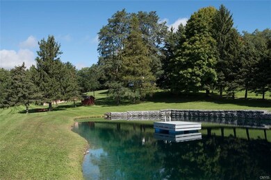 Swimming Pond
