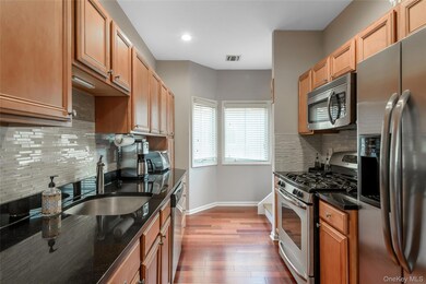 Kitchen featuring stainless steel appliances, decorative backsplash, dark wood-type flooring, dark stone counters, and recessed lighting