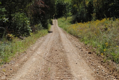 2000 Block W 1125 N, Freetown, IN 47235 - photo 2