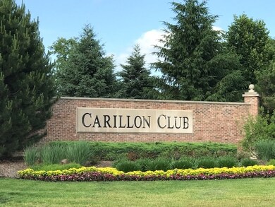 4228 Idlewild Ln, Naperville, IL 60564 - photo 4