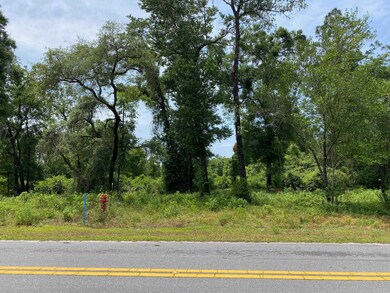 xxx Council Moore Rd, Crawfordville, FL 32327 - photo 3