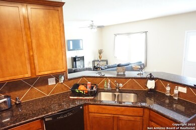 11123 Kobort Canyon, Helotes, TX 78023 - photo 2