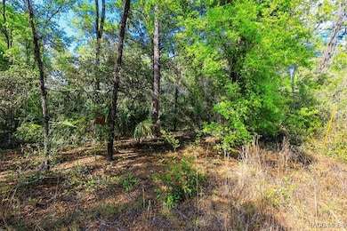 7451 W Rainbow St, Dunnellon, FL 34433 - photo 2