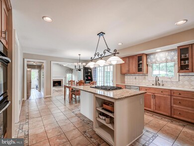 16 Old Elm Ct, Lutherville Timonium, MD 21093 - photo 6