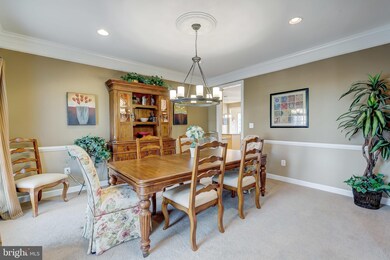 856 Queens Park Dr, Owings Mills, MD 21117 - photo 6