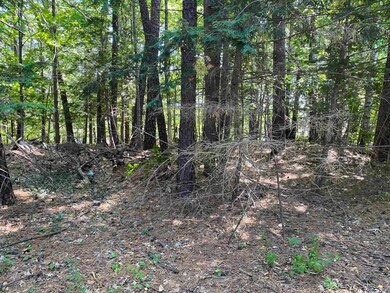 00 Pinecrest Ln, Rollinsford, NH 03869 - photo 3