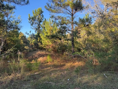 0 E Wilson St, Dothan, AL 36303 - photo 3