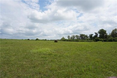 18 Ac Boheler Rd unit lot 1, Clover, SC 29710 - photo 4
