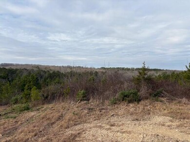 3692 Round Pond Rd, La Fayette, GA 30728 - photo 2