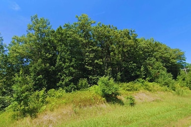 Diamond Dr, Cushing, MN 56443 - photo 3