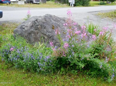 Beautiful Flowers, Landscaped Lawn, &