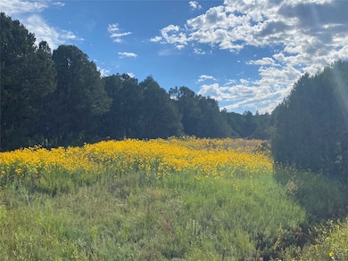 45 The Cliffs View, Glorieta, NM 87535 - photo 2