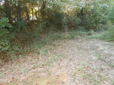 Dirt Mound 5