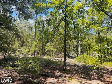 0 Moores Chapel Rd unit 25800784, Mauk, GA 31058 - photo 5