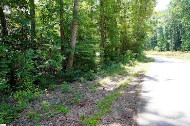 00 S Packs Mountain Rd, Taylors, SC 29687 - photo 6