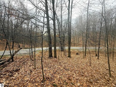Lot 57 Valley Run Rd unit 57, Custer Township, MI 49615 - photo 6