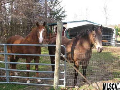 Entire property is Fenced