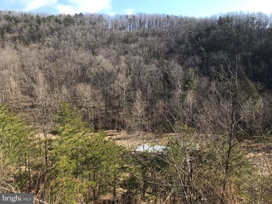 1082 Lower North Fork Rd, Seneca Rocks, WV 26884 - photo 2