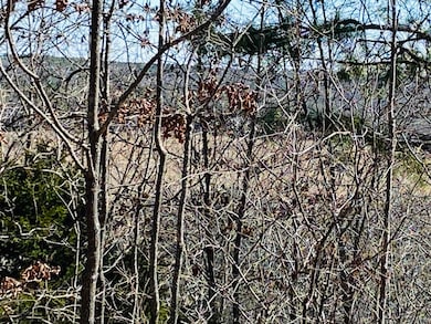 Lots 6,7,8 River Bend Ridge, Calico Rock, AR 72519 - photo 6