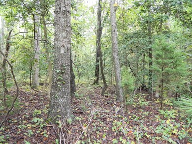 Lot Interior
