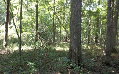 0 Ohio St unit 91490, Fort White, FL 32038 - photo 2