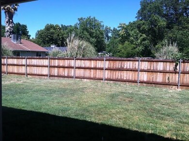 Bonnyview Backyard