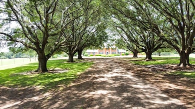 2780 Georgia 37, Camilla, GA 31730 - photo 4