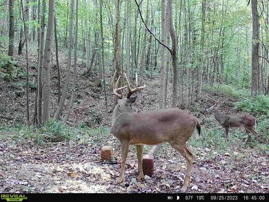 891 Pump Station Rd SE, Sugar Grove, OH 43155 - photo 3