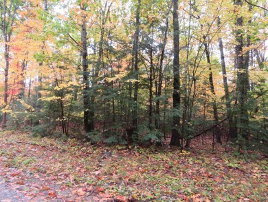 00 Savoy, Moultonborough, NH 03254 - photo 7