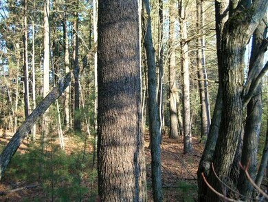 0 Crescent Rd unit 1669467, Byron, WI 54666 - photo 5