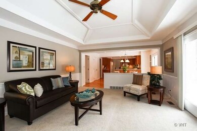 1341 Green Trails Dr, Naperville, IL 60540 - photo 3