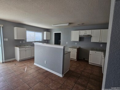 3838 Pavo Viejo, San Antonio, TX 78223 - photo 6
