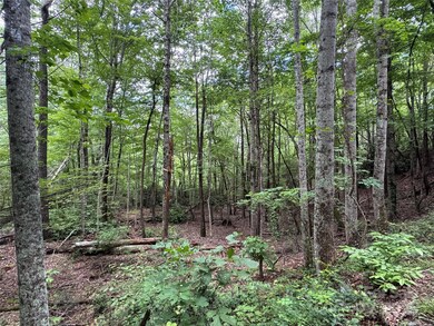 0 Quail Ridge Rd unit 216 CAR4270788, Lake Lure, NC 28746 - photo 3