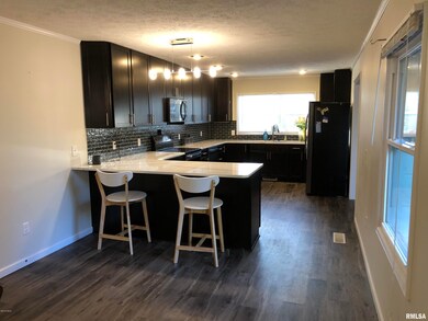 1408 Barnett Rd, Harrisburg, IL 62946 - photo 7