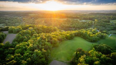 4045 S Mohawk Rd, Mohawk, TN 37810 - photo 7