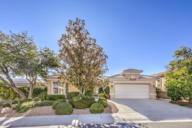 10551 Mandarino Ave, Las Vegas, NV 89135 - photo 6